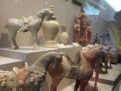 -安阳博物馆