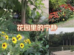 -南宁南湖公园
