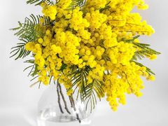 -粒上皇(湛江万达店)