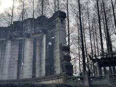 -音乐台