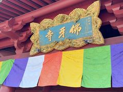 -新加坡佛牙寺龙华院
