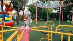 -萌宠亲子动物乐园(槐房万达店)