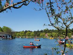 -上海共青森林公园