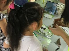 -上海昆虫博物馆