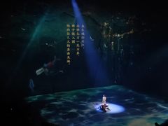 -重庆国际马戏城