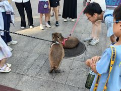 -亮亮面馆(经六路店)