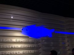 -白鹤梁水下博物馆