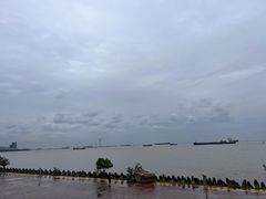 -上海滨江森林公园
