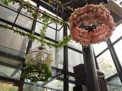 -聚缘·湘味音乐餐厅party(罗湖店)