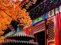 -香山公园