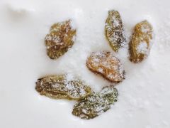 -糕小爱动物奶油生日蛋糕定制(晋江万达店)