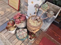 -Rabbit Cafe私房西餐甜点咖啡(栖霞路店)