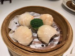 悦景水晶虾饺-悦景酒家(罗湖店)