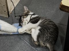 -董哥山城碗碗香(美专校街店)