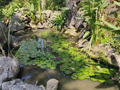 -龙井壹号·茶缘山景宴(龙井村店)