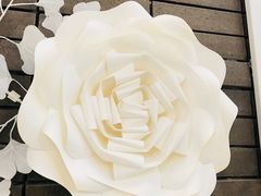 -八喜G’nature冰淇淋旗舰店