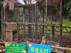 -武汉紫薇都市田园