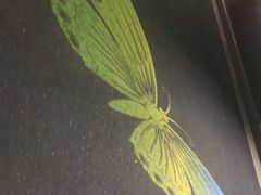 -锦江乐园舞狸花花游园会(夜场专享)