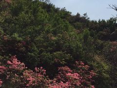 -木兰云雾山