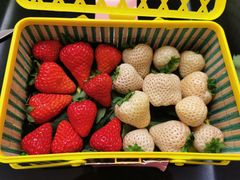 -鲜户(名仕花园店)