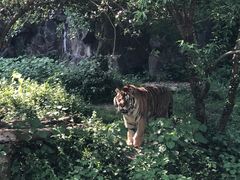 -杭州动物园