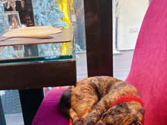 -EATALIA意塔利意式餐厅(鼓楼店)