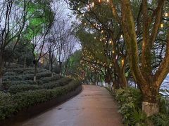 -天目湖山水园