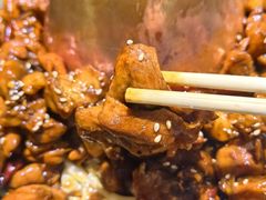 -刘记光大火锅鸡(北行店)