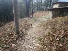 -庐山恋影院(河西路店)