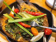 -云海肴·汽锅鸡·云南菜(天津国金汇店)