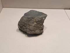 -辽宁古生物博物馆