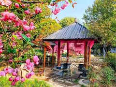 -观唐（国际）度假村温泉