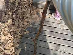 -帽儿山国家森林公园