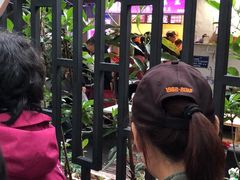 -璐坊粽王(复兴中路店)