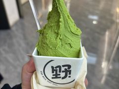 -野人先生现做冰淇淋(西安赛格店)