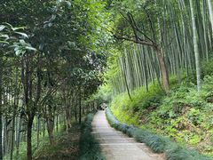 -东明山森林公园