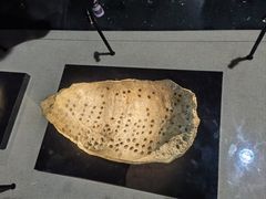 -金沙遗址博物馆
