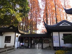-上海醉白池公园
