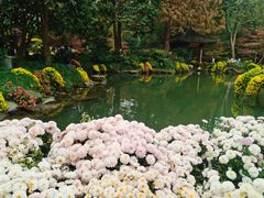 -杭州植物园