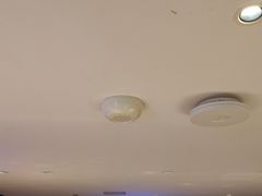 -杨氏青龙虾·羊蝎子(托乐嘉店)