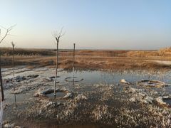 -卤阳湖国家湿地公园