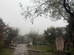-北京凤凰岭