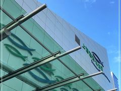 -上海海洋水族馆