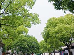 -绍兴鲁迅故里·沈园景区