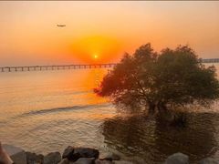 -宝安西湾红树林湿地公园