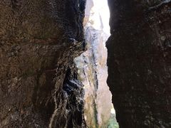 景点-梦幻奥陶纪景区