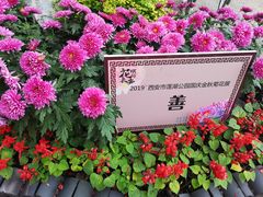 -莲湖公园