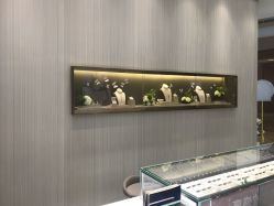 -潮宏基(龙湖常州龙城天街店)