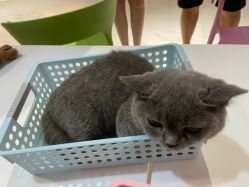 -Moni星球萌宠·小马宝莉·灵蛇·高端高阶全萌宠互动体验俱乐部(红豆国际广场店)