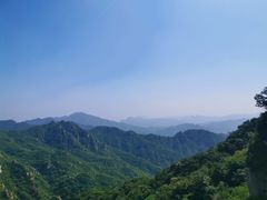 -大岭沟猕猴桃谷风景区